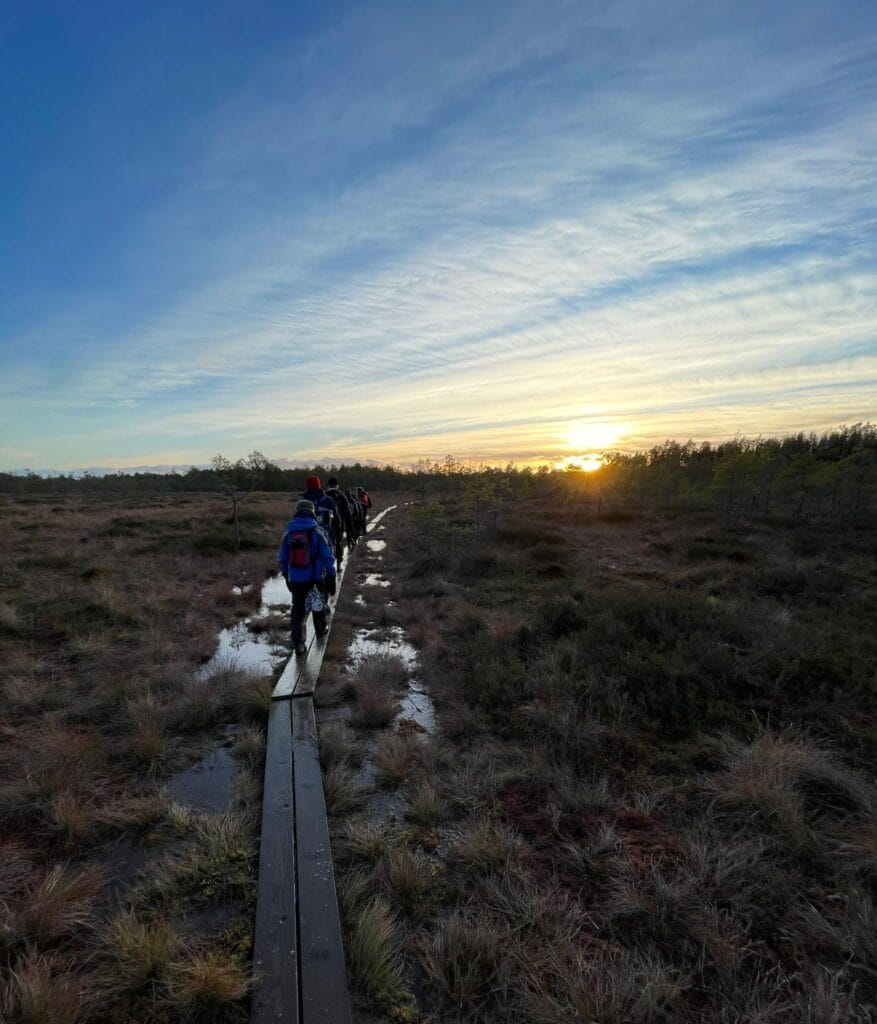 Syksyn Taikaa 2024 - Lue lisää